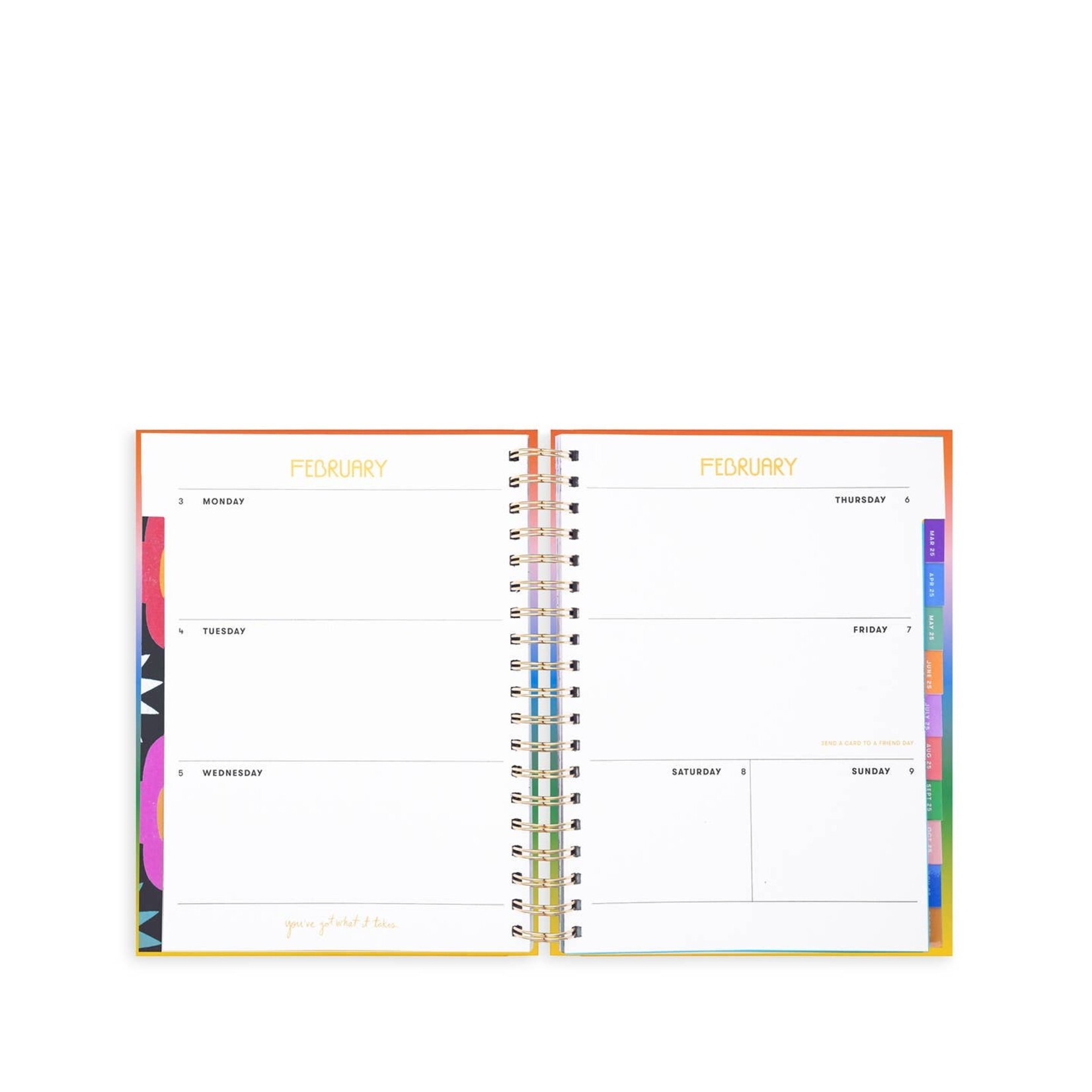 Ban.do 17 Month Large Planner, Only the Good Stuff