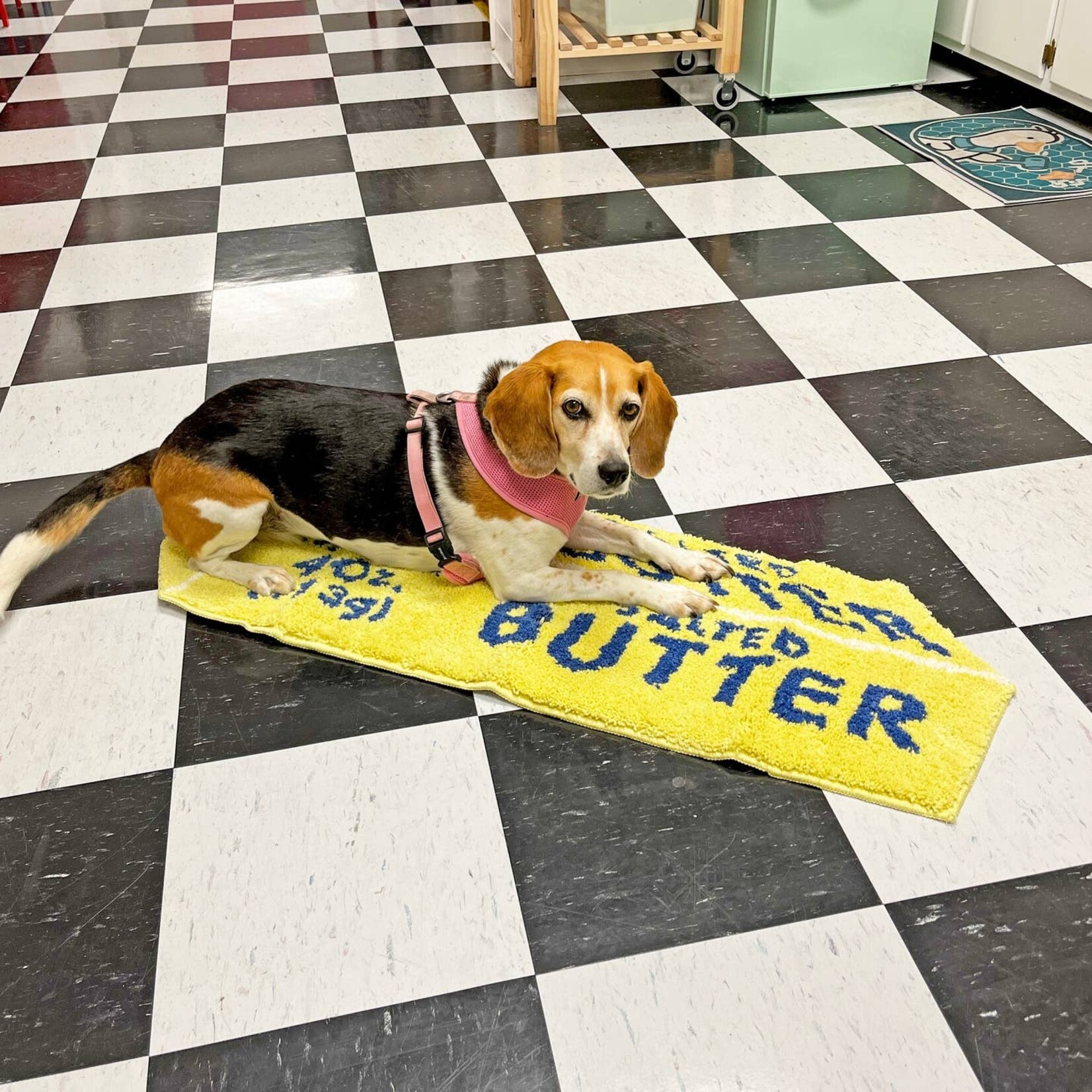 A Shop of Things Butter Rug