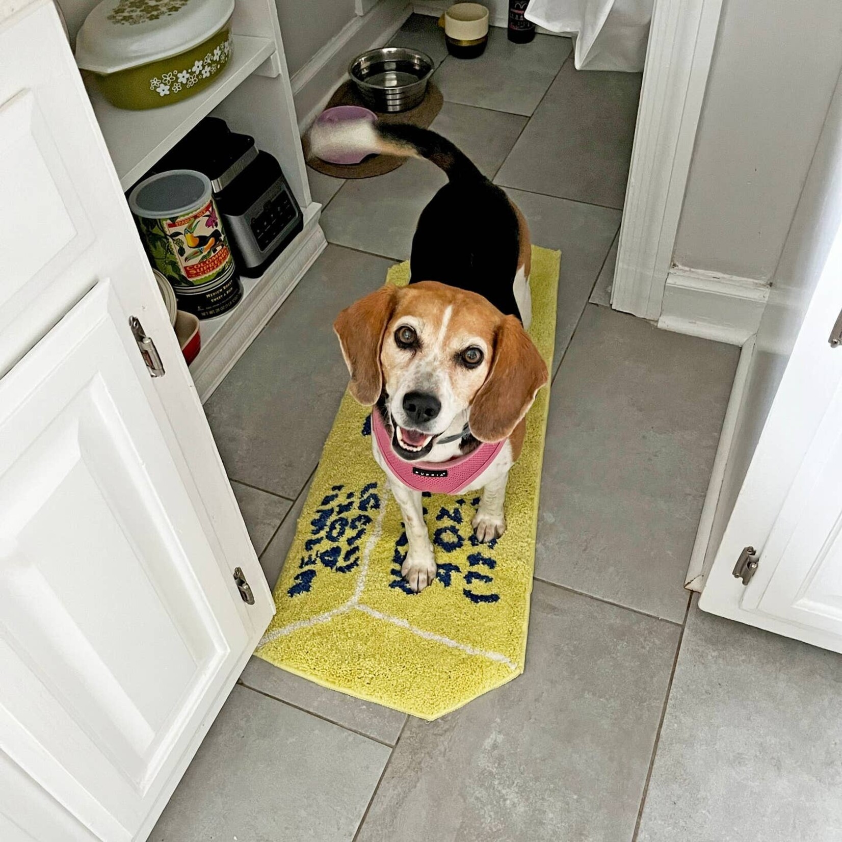 A Shop of Things Butter Rug