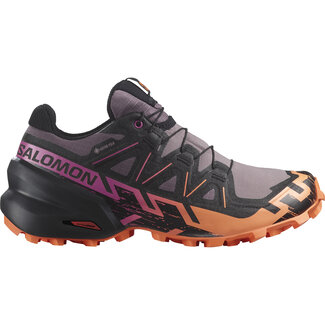 SALOMON Souliers F Speedcross 6 GTX