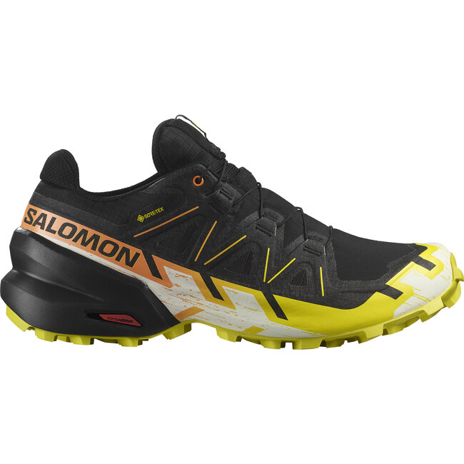 SALOMON Souliers H Speedcross 6 GTX