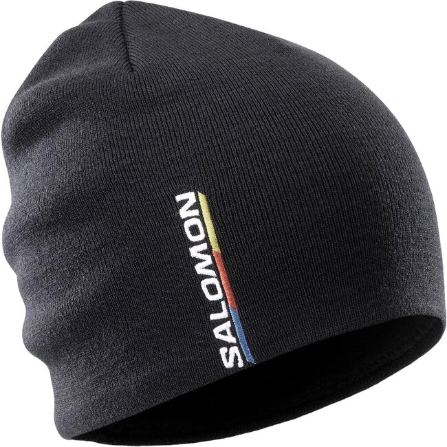 SALOMON Tuque Graphic Beanie