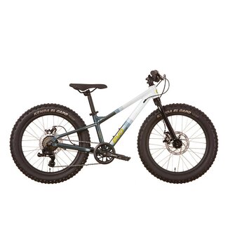 EVO Vélo Cadet 20 8v
