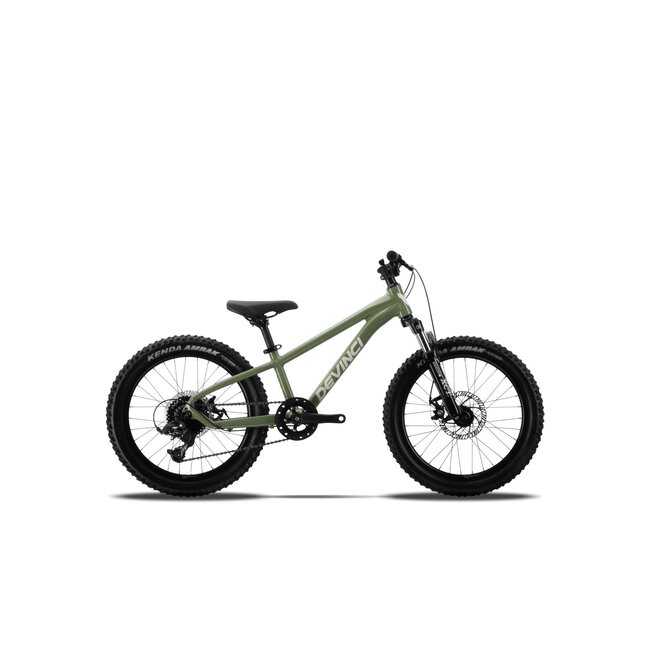 DEVINCI Vélo Ewoc 20" 7S