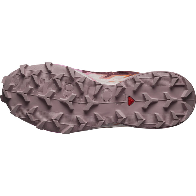 SALOMON Souliers F Speedcross 6