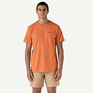 PATAGONIA T-Shirt Fitz Roy Icon Responsibili-Tee