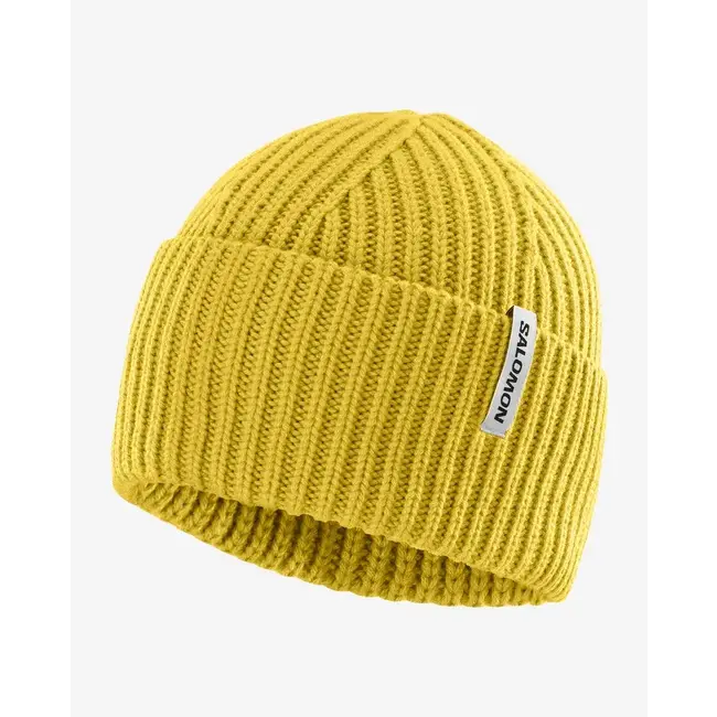 SALOMON Tuque Snowbird