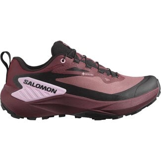 SALOMON SOULIERS F GENESIS GTX