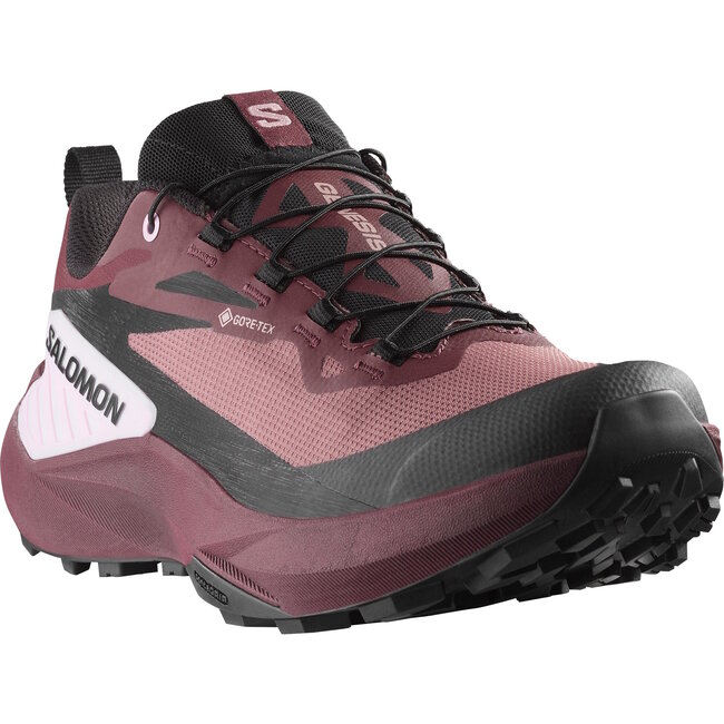 SALOMON SOULIERS F GENESIS GTX