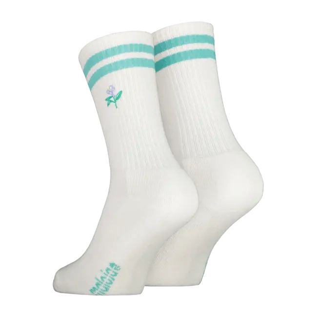 Maloja Bas MandrazM.