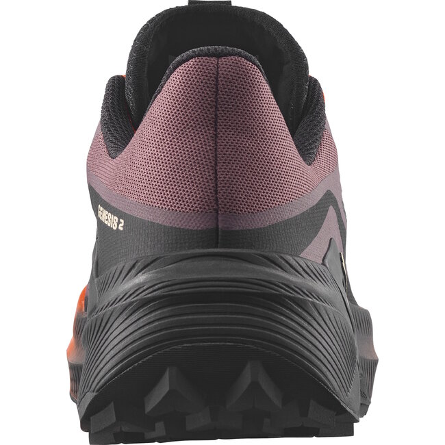 SALOMON SOULIERS F GENESIS 2