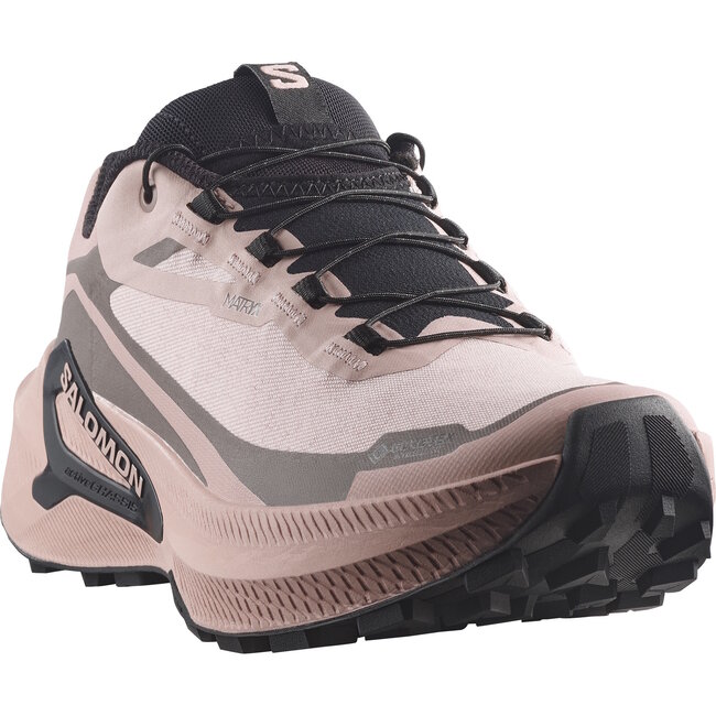 SALOMON SOULIERS F GENESIS 2 GTX