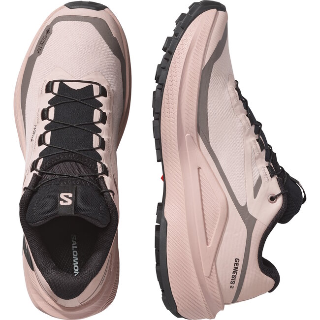 SALOMON SOULIERS F GENESIS 2 GTX