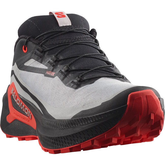 SALOMON SOULIERS H GENESIS 2 GTX