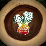 Puka Surf Co. Hawaii Heritage Rasta Sticker 3.3” X 4”