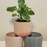 Little McKfarm Pali 5” x 4”  Planter