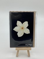 Holly Hollinger Art Black Plumeria Art Card