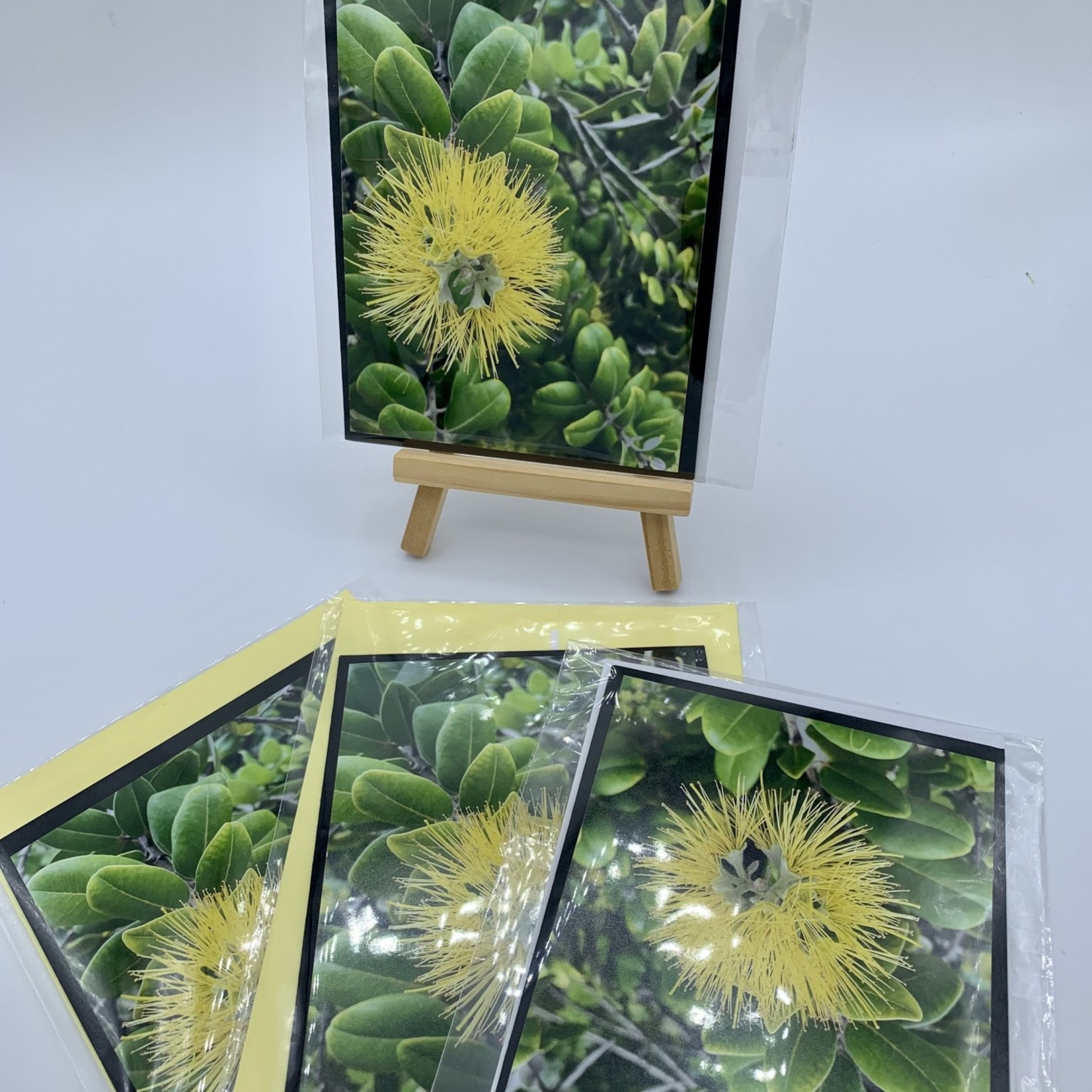 Kilohana Clothing Co. ‘Ohia’a Lehua Note Cards