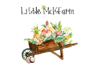 Little McKfarm