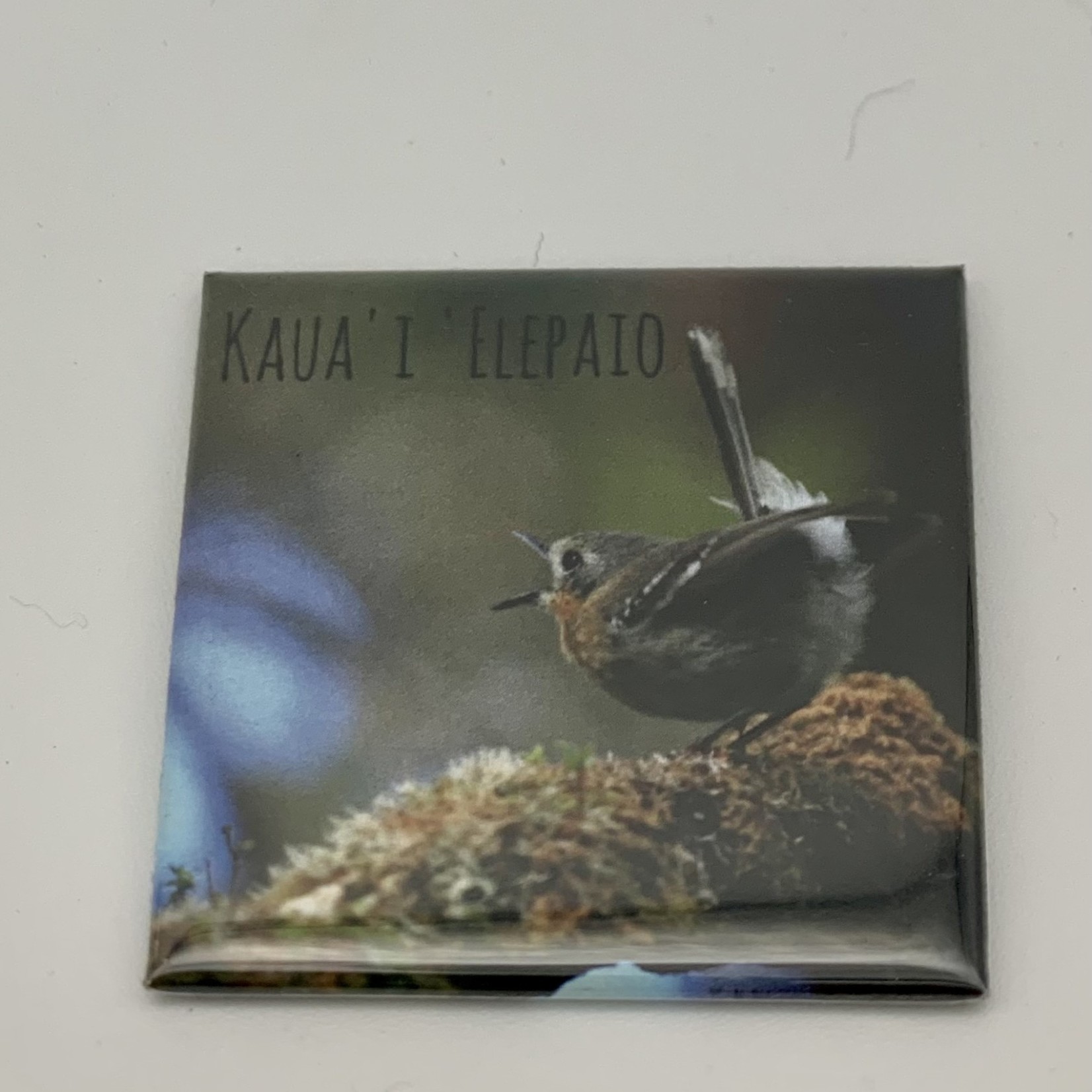 Kaua'i Forest Bird Recovery Project Kauai Forest Bird Magnets