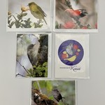 Kaua'i Forest Bird Recovery Project 5-pack Critically Endangered Birds Notecard w/envelope