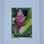 Susan Carlisle Lihue Pink Ginger Print