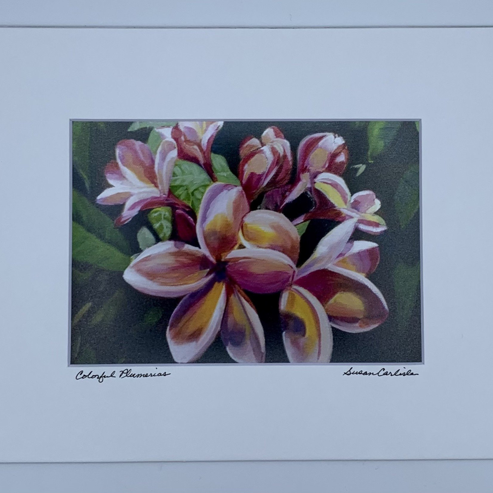 Susan Carlisle Colorful Plumeria Print