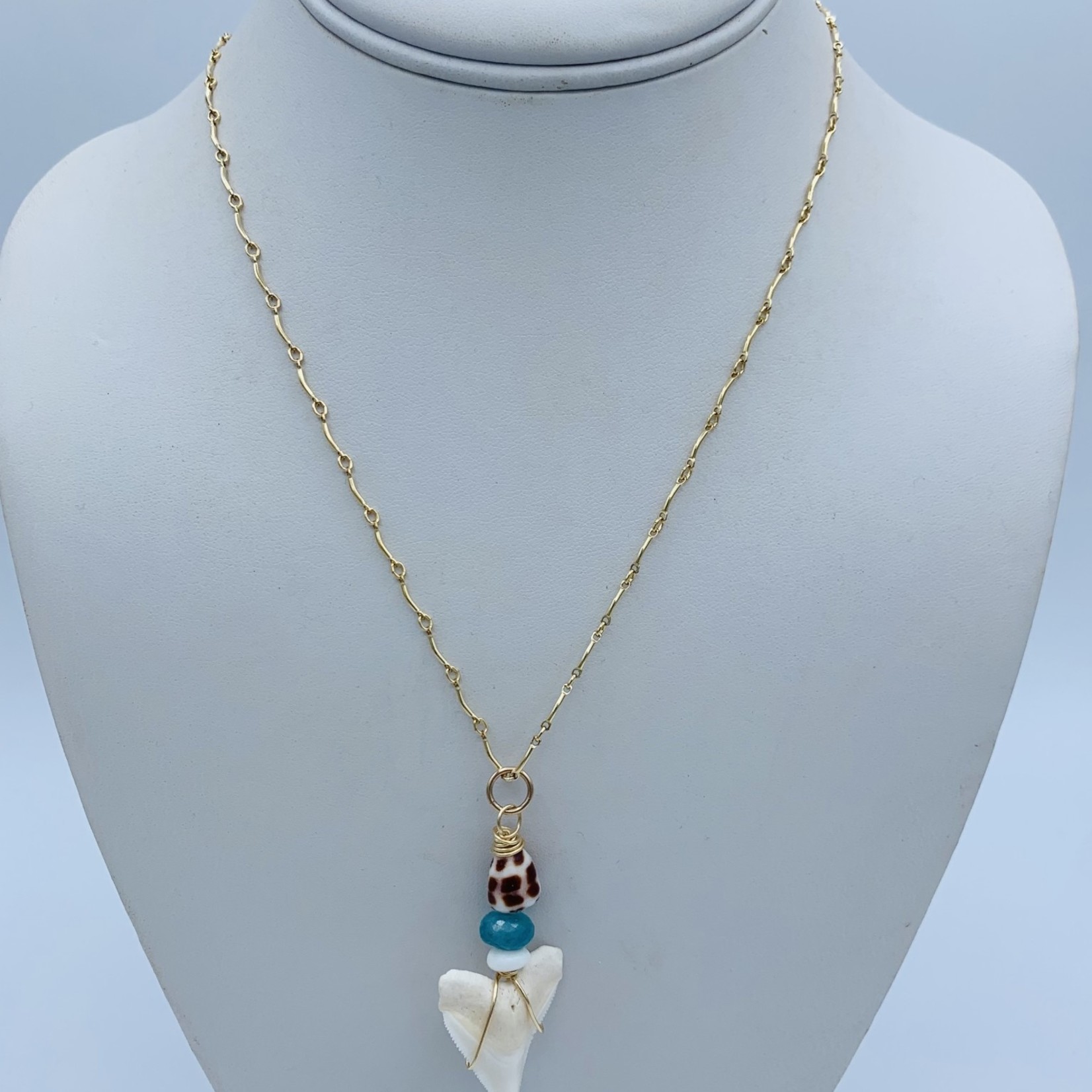 Shell Of A Life Shark Tooth + Blue Kyanite + Hebrew Shell Necklace