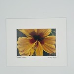 Susan Carlisle Yellow Hibiscus Print