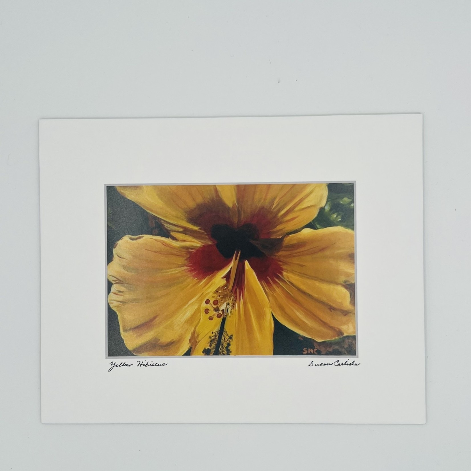 Susan Carlisle Yellow Hibiscus Print