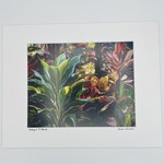 Susan Carlisle Colorful Ti Plant Print