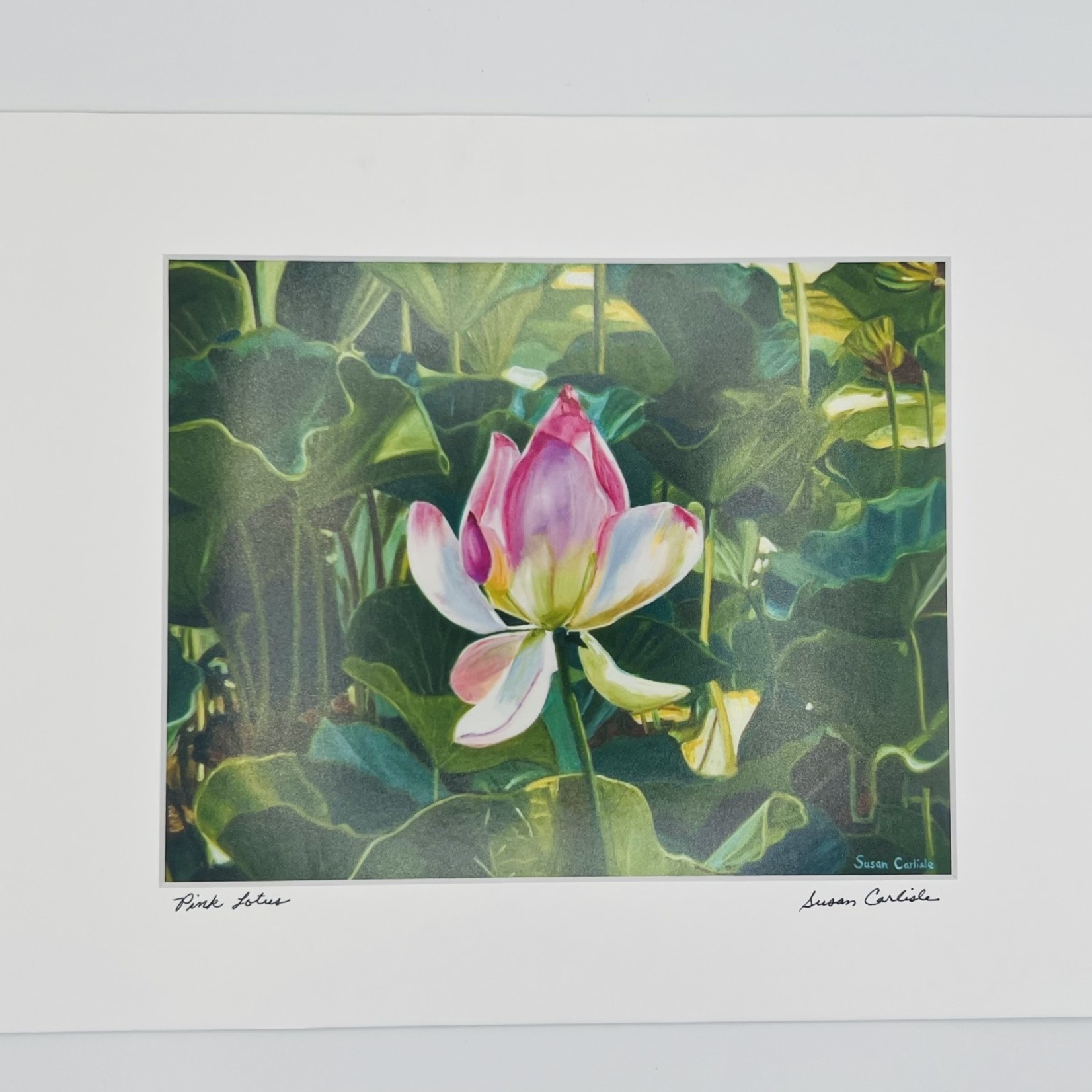 Susan Carlisle Pink Lotus Print