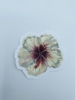 Holly Hollinger Art White Watercolor Hibiscus Sticker