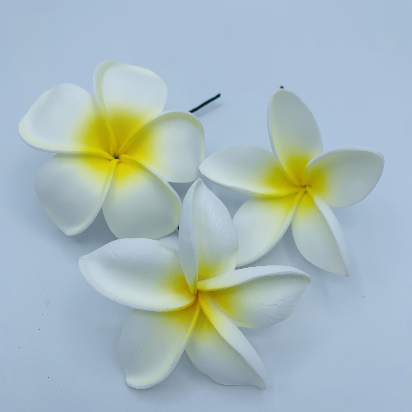 Puka Surf Co. Hawaii Pua Flower Hairpick