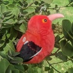 Kaua'i Forest Bird Recovery Project ‘I’iwi- Audubon Plush Bird (Authentic Bird Sound)