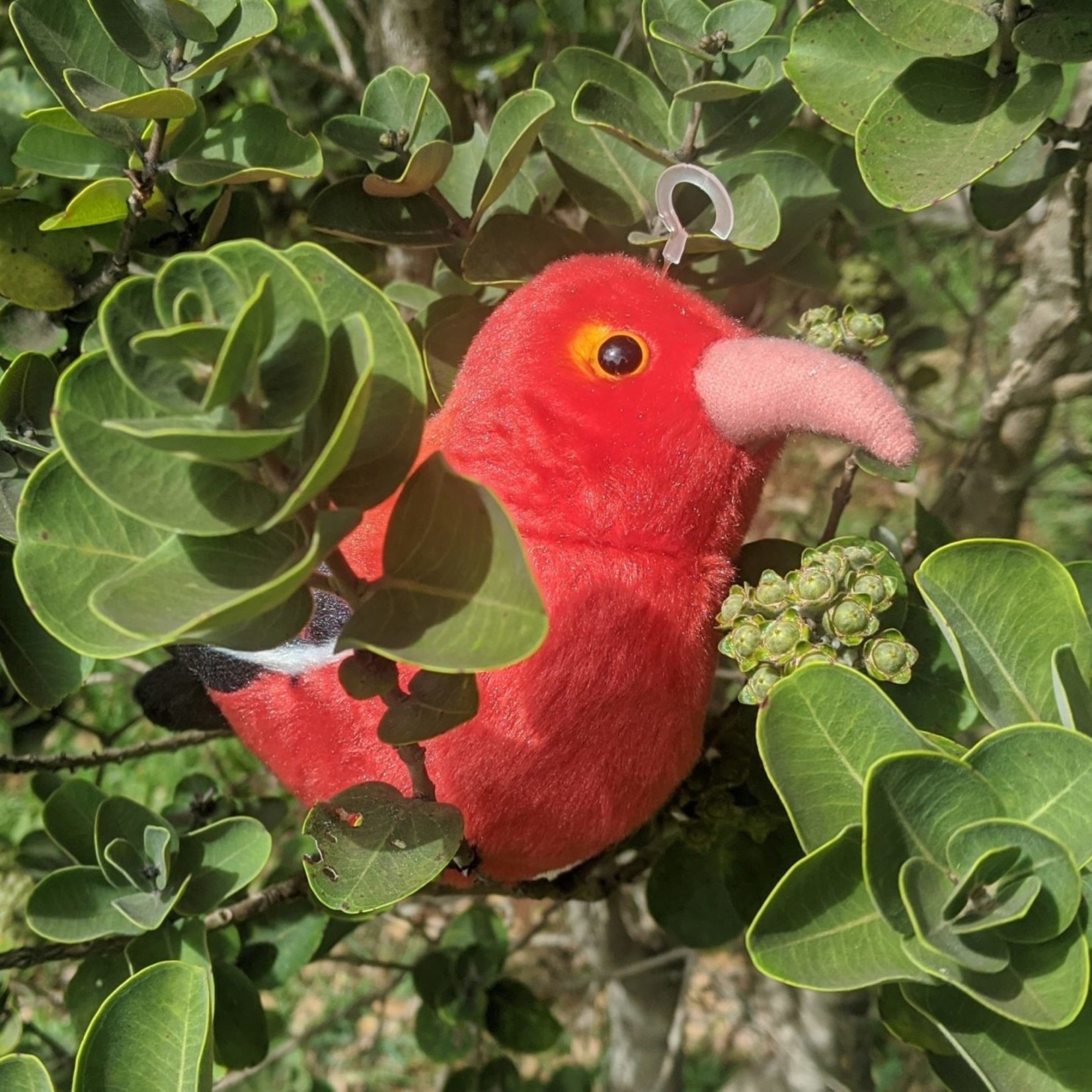 Kaua'i Forest Bird Recovery Project ‘I’iwi- Audubon Plush Bird (Authentic Bird Sound)
