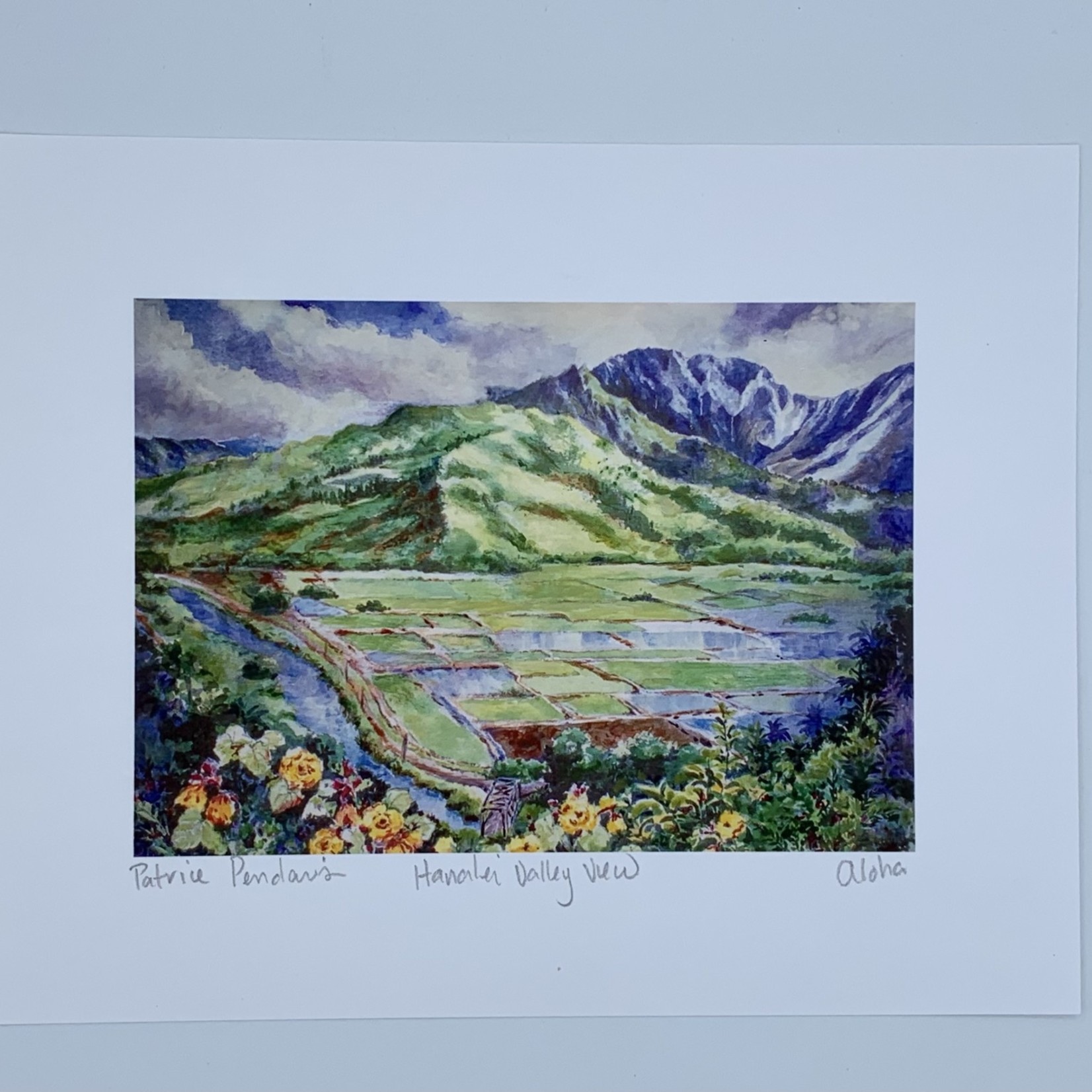 Patrice Pendarvis Studio Hanalei Valley View