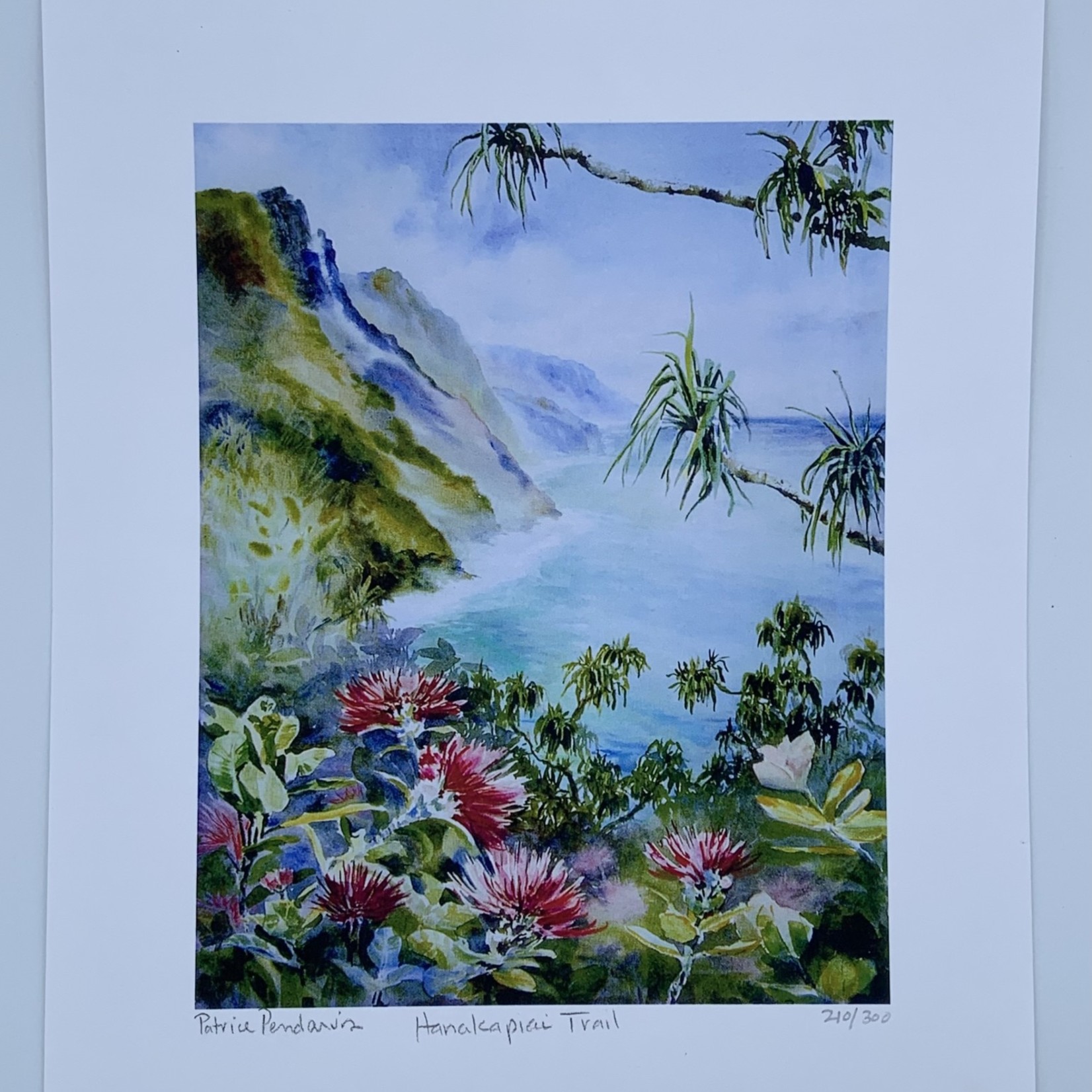 Patrice Pendarvis Studio Hanakapiai Trail