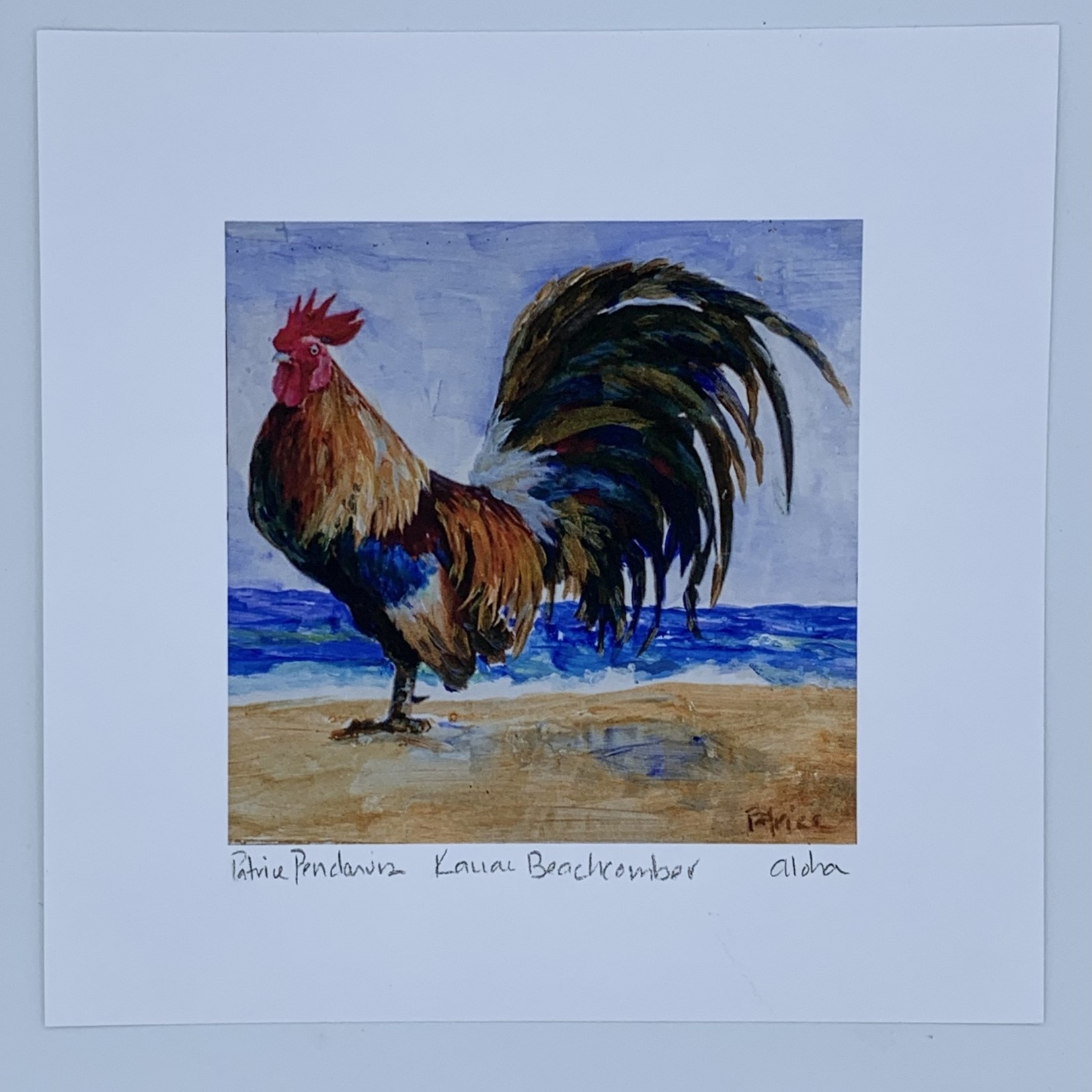 Patrice Pendarvis Studio Kauai Beachcomber