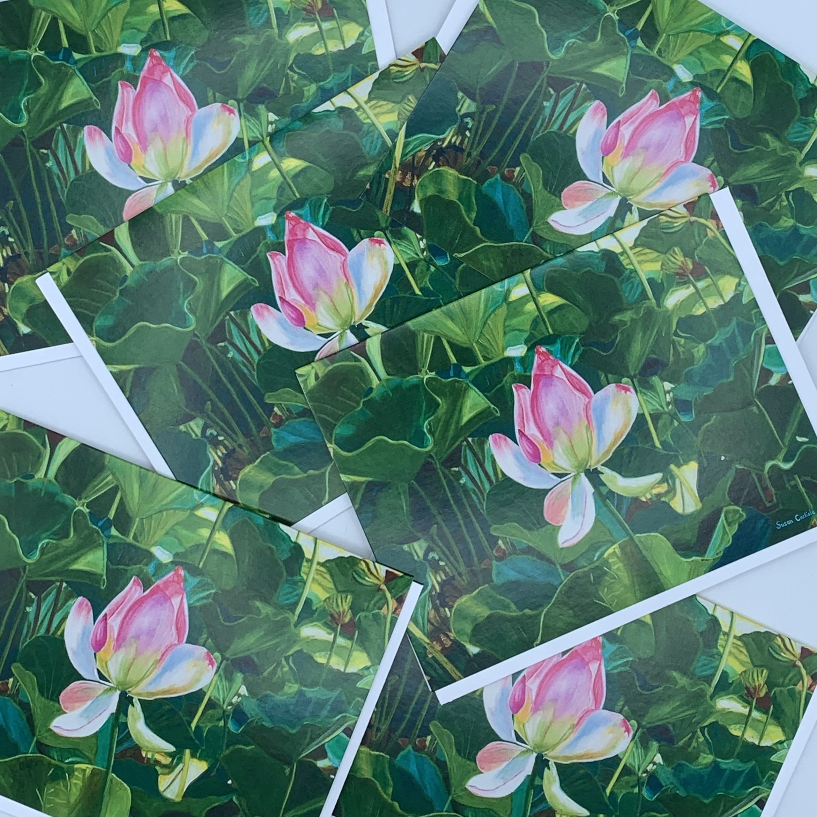 Susan Carlisle Kaua'i Flowers 6-Pack Notecards