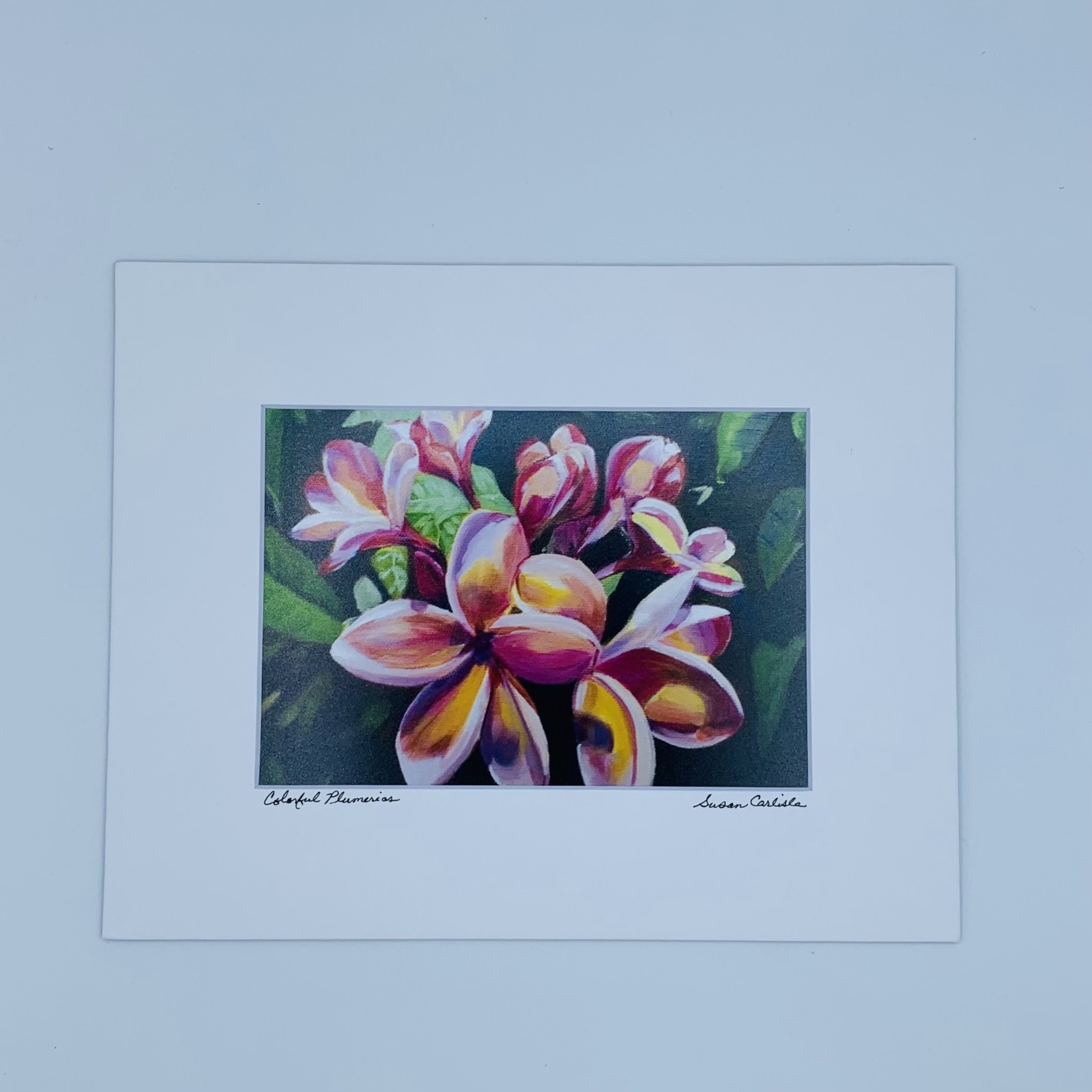 Susan Carlisle Colorful Plumeria Print