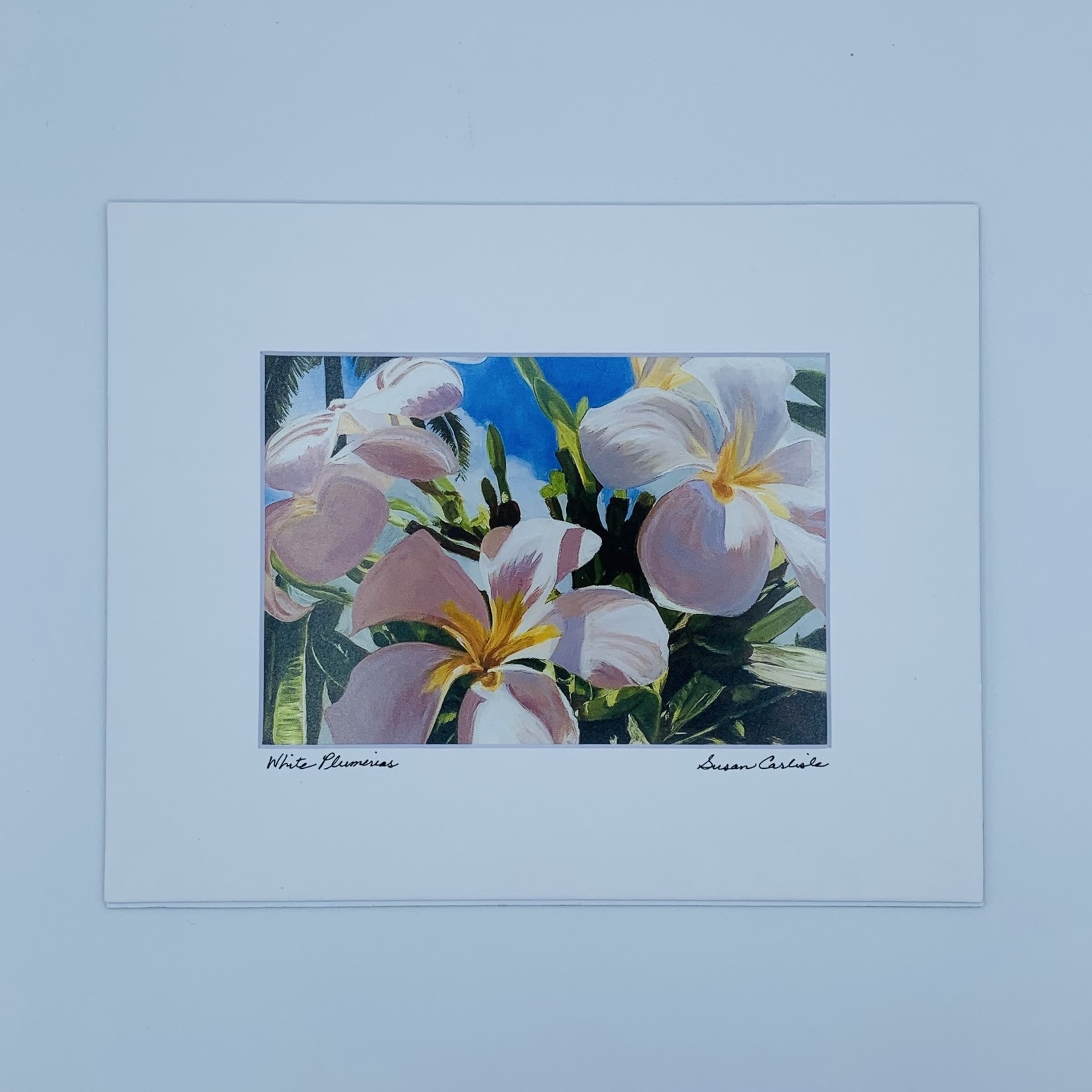 Susan Carlisle White Plumeria Print