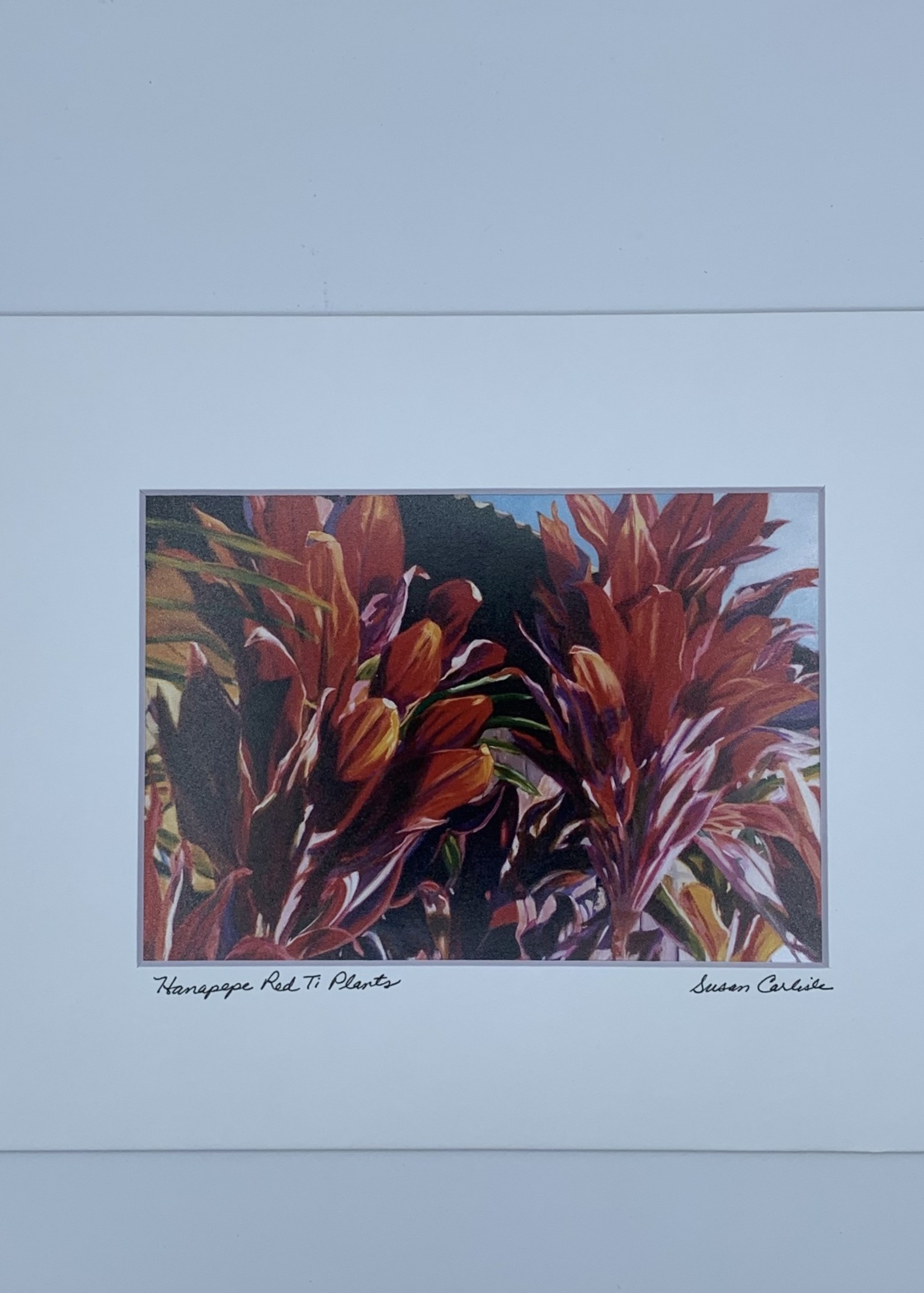 Susan Carlisle Hanapepe Red Ti Plant Print