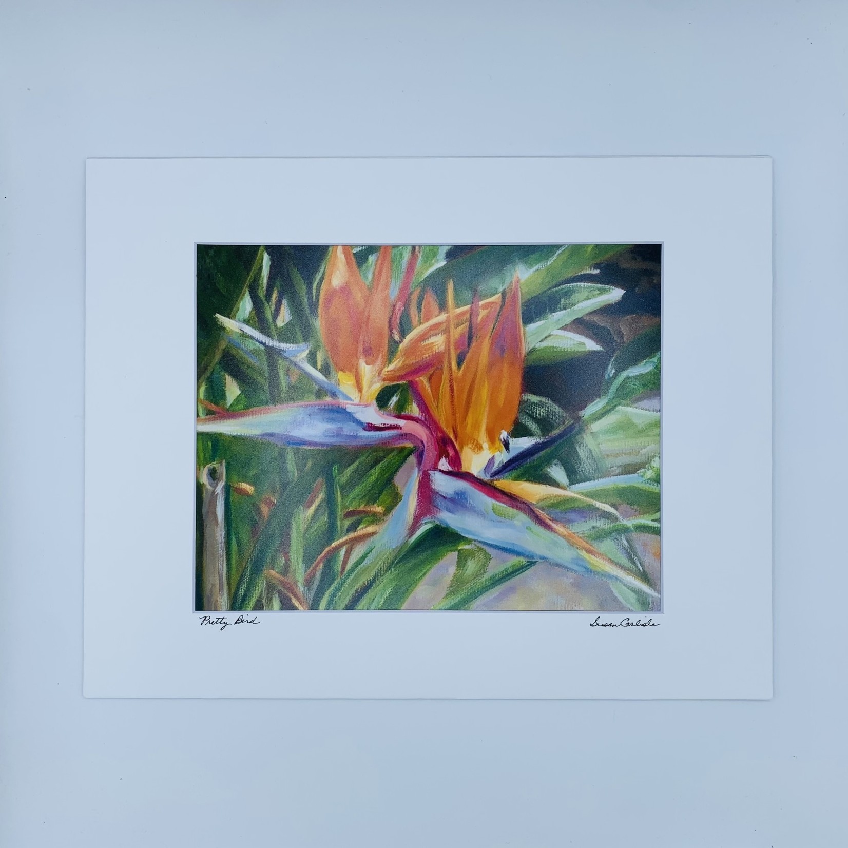 Susan Carlisle Pretty Bird Print