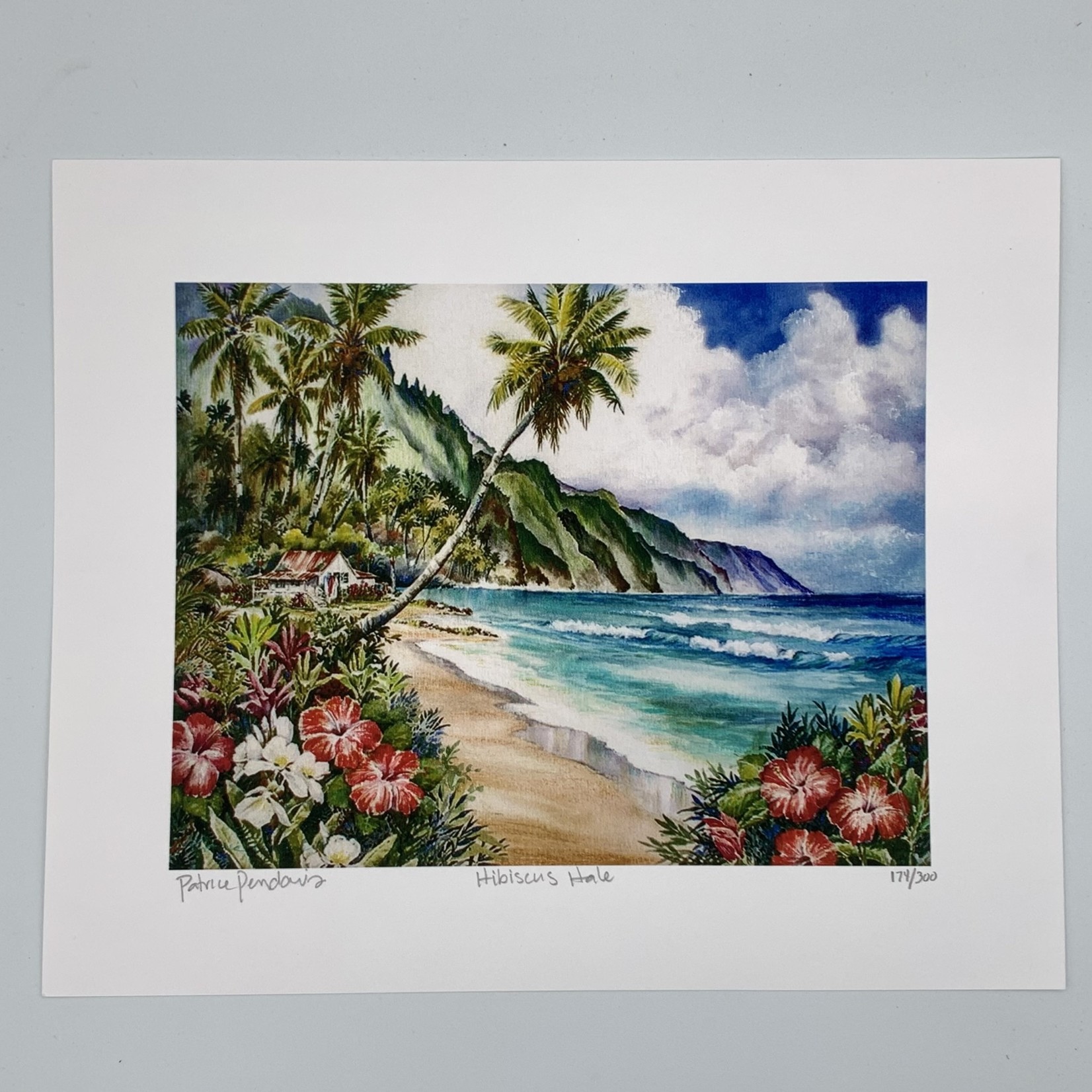 Patrice Pendarvis Studio Hibiscus Hale