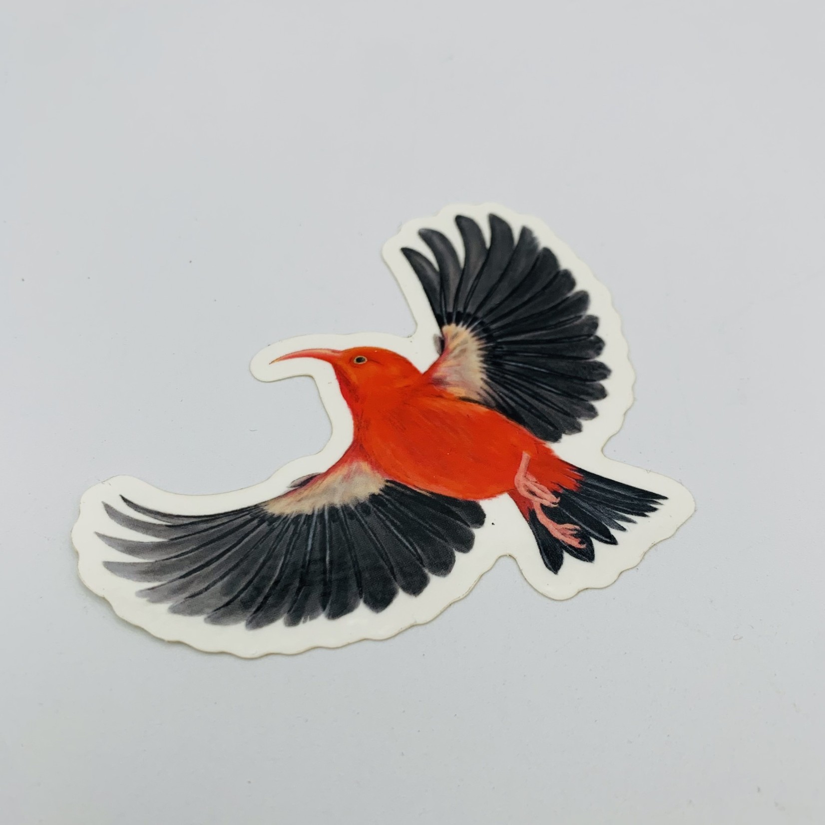 Kaua'i Forest Bird Recovery Project ’I’iwi In Flight Sticker