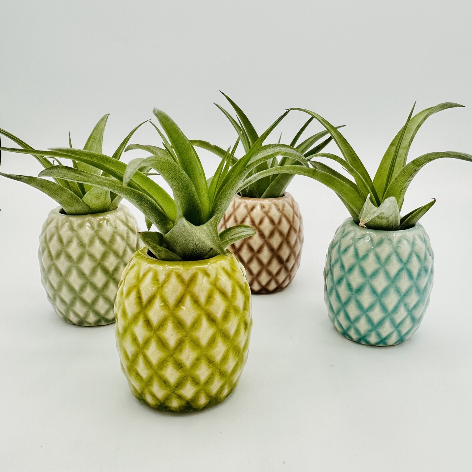 Waipua Gardens Assorted Pineapple Table Sitter