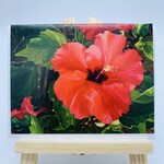 Susan Carlisle Kaua’i Flowers - Single Art Notecard w/Envelope  Red Hibiscus