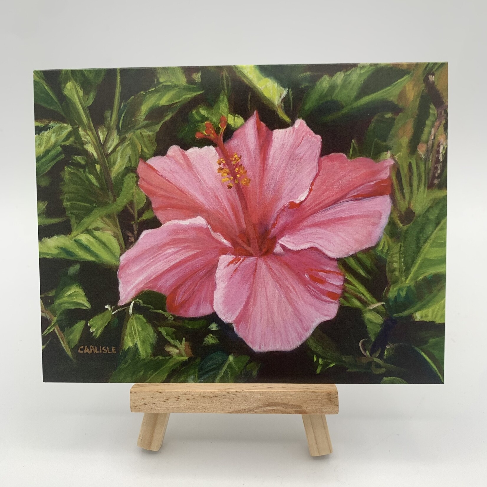 Susan Carlisle Kaua'i Flowers Single Art Notecard, 56% OFF