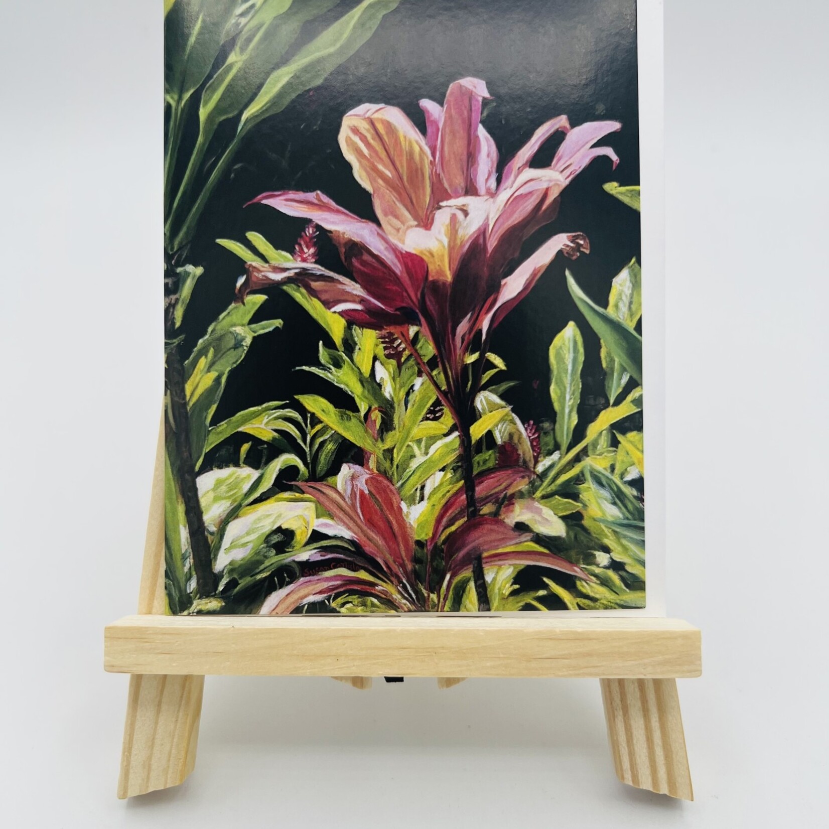 Susan Carlisle Kaua’i Plants - Single Art Notecard w/Envelope Lihue Red Ti
